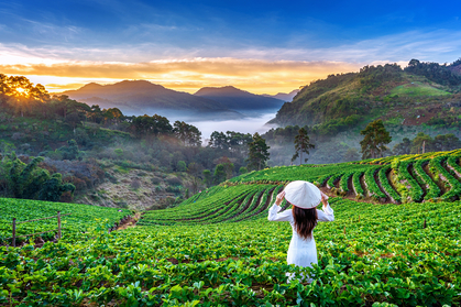 Vietnamesische Landschaft mit Frau auf dem Feld